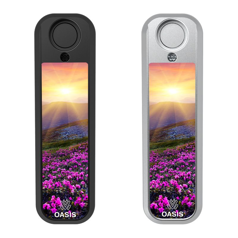 Sun Over Flower Field